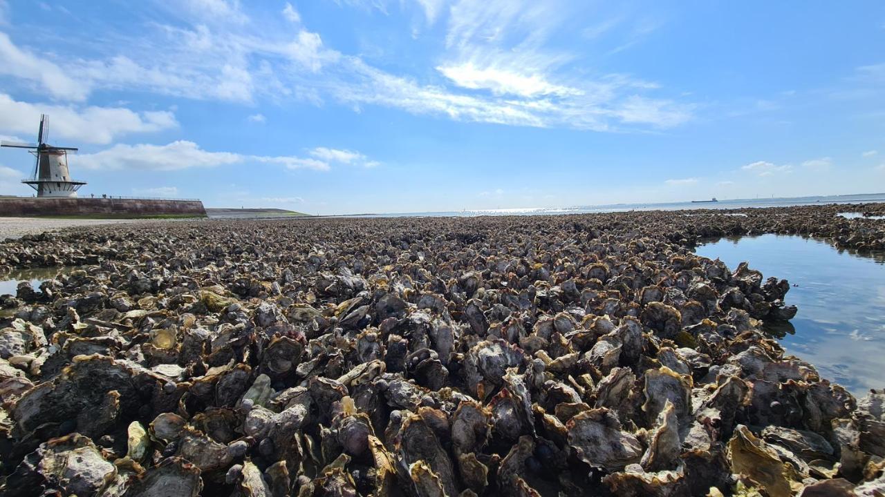 Appartement Havenzicht, Gelegen Aan Zee Met Zeezicht Vlissingen Dış mekan fotoğraf
